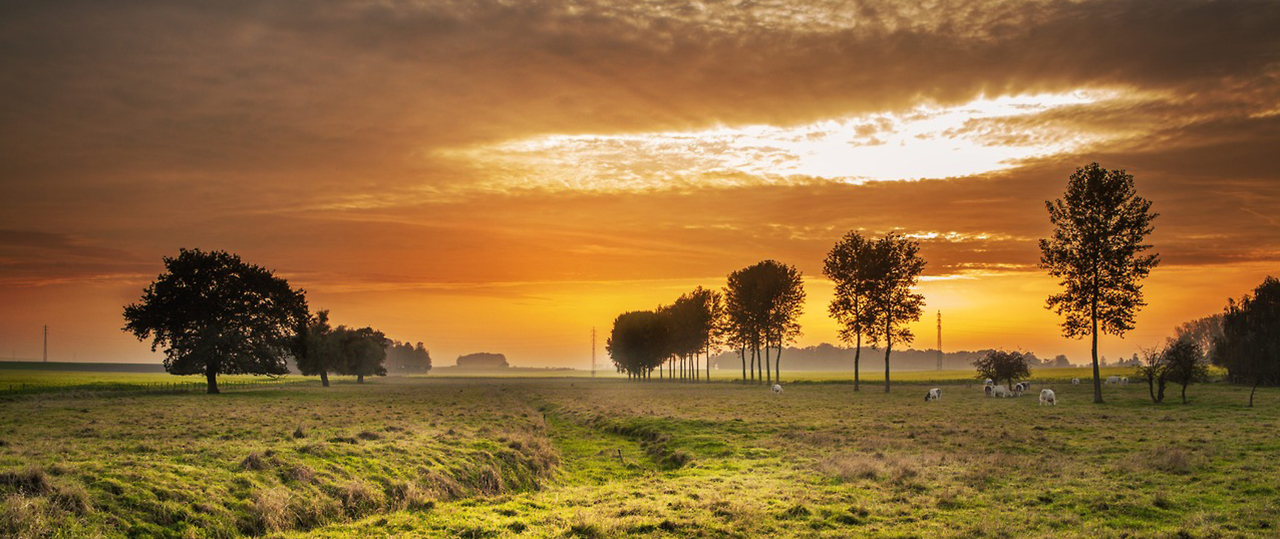 网站ddos隐藏源ip