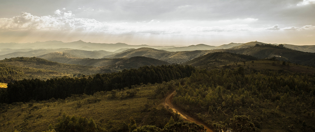 在线DDOS压力测试网页端