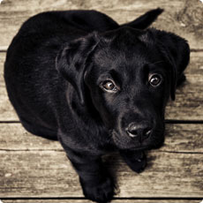 绿色无残留的DDOS攻击平台