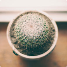 怎么去攻击一个网站与防护