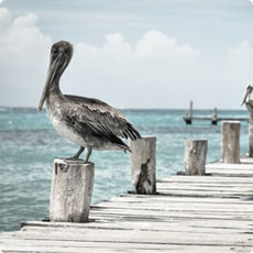 ddos在线压力测试平台