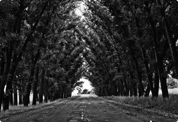 ddos在线压力测试平台