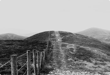 网站攻击软件工具