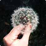 在线DDOS压力测试网页端